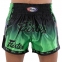 Шорти для тайського боксу та кікбоксингу FAIRTEX №1 0