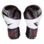 Боксерские перчатки Ever DX,  10oz,12oz, бело-зеленый 1
